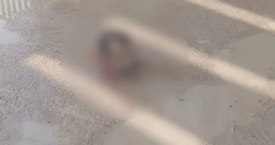 तेजस्वी यादव ने अररिया हत्याकांड पर नीतीश सरकार पर साधा निशाना, कहा- 'कानून-व्यवस्था पूरी तरह से बिगड़ गई'