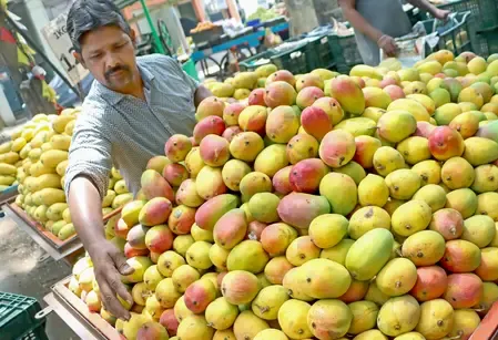 हैदराबाद में रसायनों से पकाए गए आमों की बिक्री पर पुलिस का कड़ा नियंत्रण