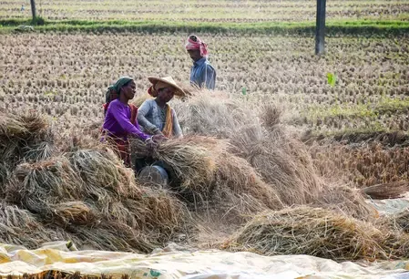 देश में कार्यबल का औपचारिकरण बढ़ाना और सामाजिक सुरक्षा कवरेज का विस्तार आवश्यक : एसबीआई रिपोर्ट