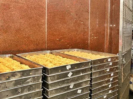 तिरुमला घी मिलावट घोटाला: ED की 15 ठिकानों पर छापेमारी, ₹60 लाख नकद और ₹45 करोड़ की संपत्ति का खुलासा