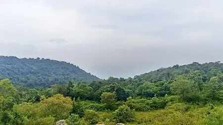 तमिलनाडु ने पर्यावरण संरक्षण को दी मजबूती, 10 जिलों में रिजर्व फॉरेस्ट का दायरा बढ़ाया