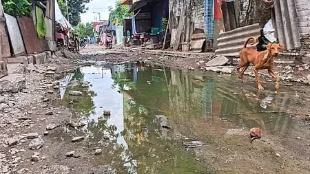 तमिलनाडु: 21 शहरी निकायों की 28 जल एवं सीवरेज परियोजनाओं का होगा पर्यावरणीय ऑडिट 