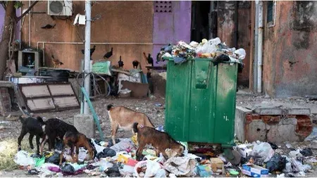 तमिलनाडु के 12 नगर निगमों में कचरा प्रबंधन के लिए पीपीपी मॉडल, कर्मचारियों ने उठाए नौकरी सुरक्षा के सवाल