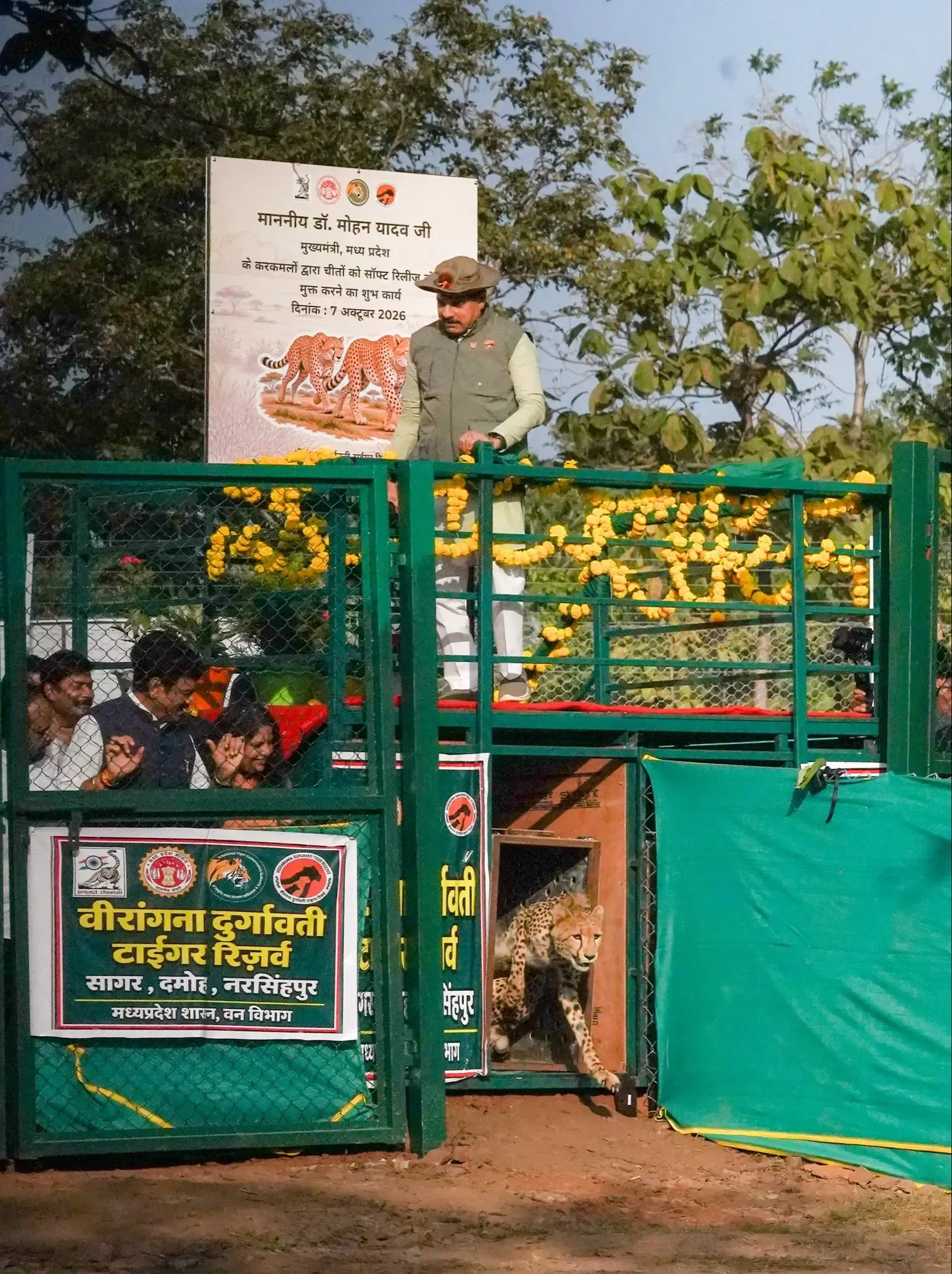 मध्य प्रदेश में चीता पुनर्वास: रानी दुर्गावती टाइगर रिजर्व में छोड़े गए 'व्योम' और 'नीरा', अब तीसरा ठिकाना