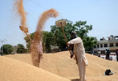 गेहूं उत्पादन 2025-26: मौसम की मार के बावजूद केंद्र सरकार ने दिया मजबूती का भरोसा