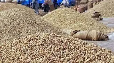 खाद्य तेल की कीमतों में कटौती का लाभ उपभोक्ताओं तक पहुंचे : केंद्र