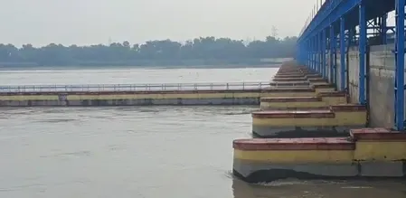 क्या यमुना नदी के जलस्तर में वृद्धि ने दिल्ली में बाढ़ की स्थिति उत्पन्न कर दी?