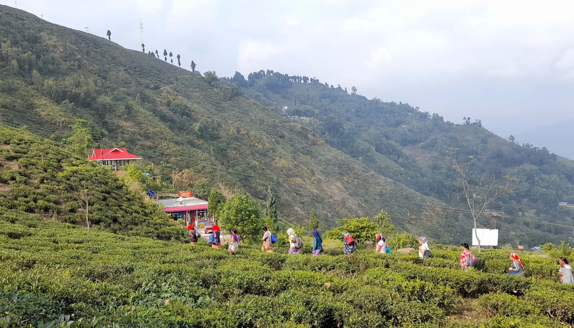 Harnessing Grassroots Innovation for Economic Change in India