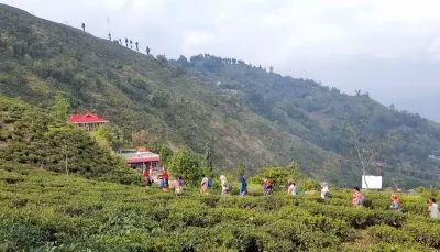 Harnessing Grassroots Innovation for Economic Change in India