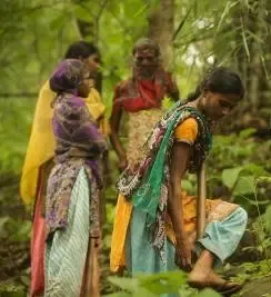 Gujarat tribal village Balethi to become forest conservation Centre of Excellence