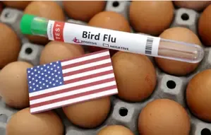 Human deaths from bird flu 'concerning'; monitoring & genome sequencing key: Experts