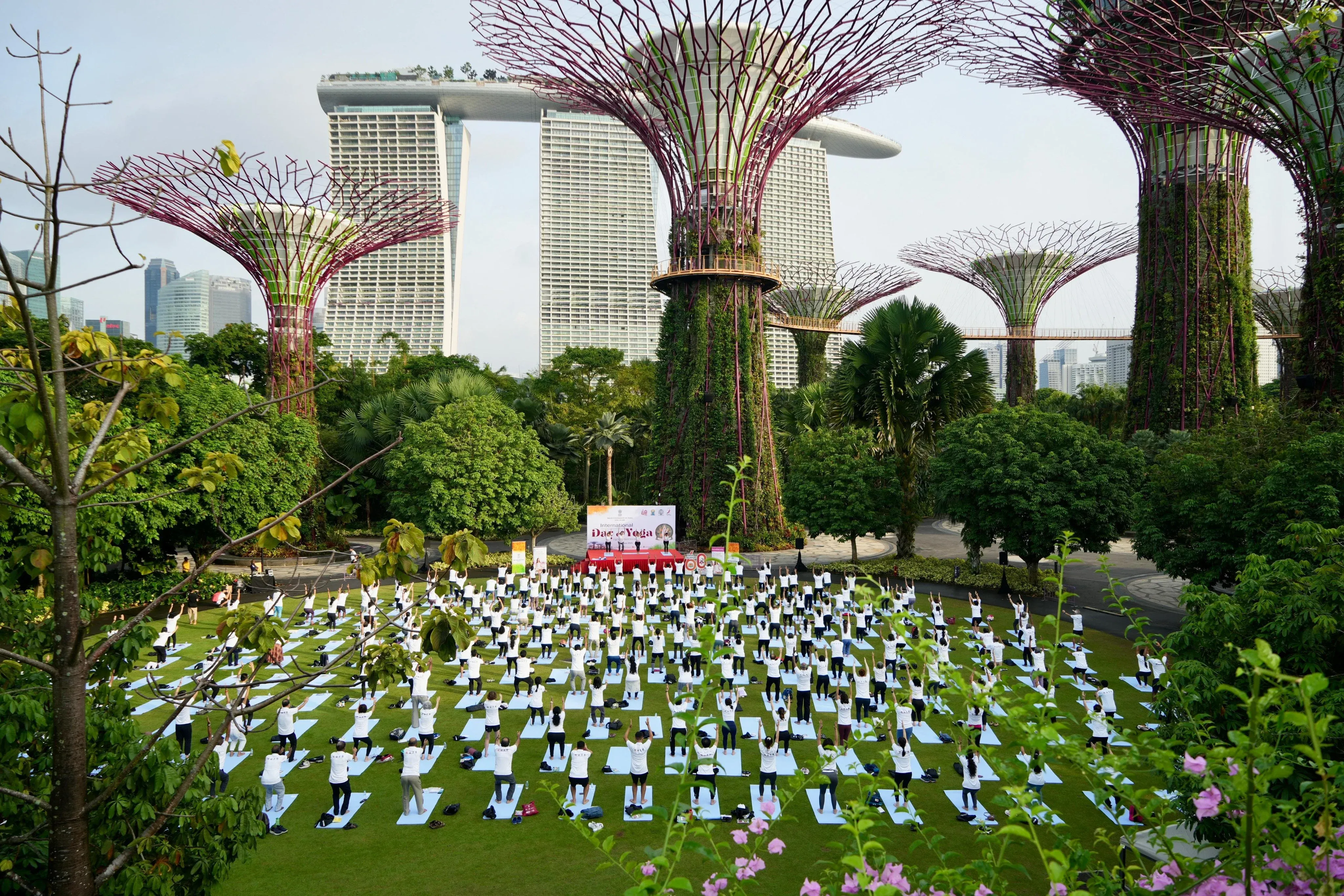 How Did Hundreds in Singapore and Myanmar Celebrate International Yoga Day?