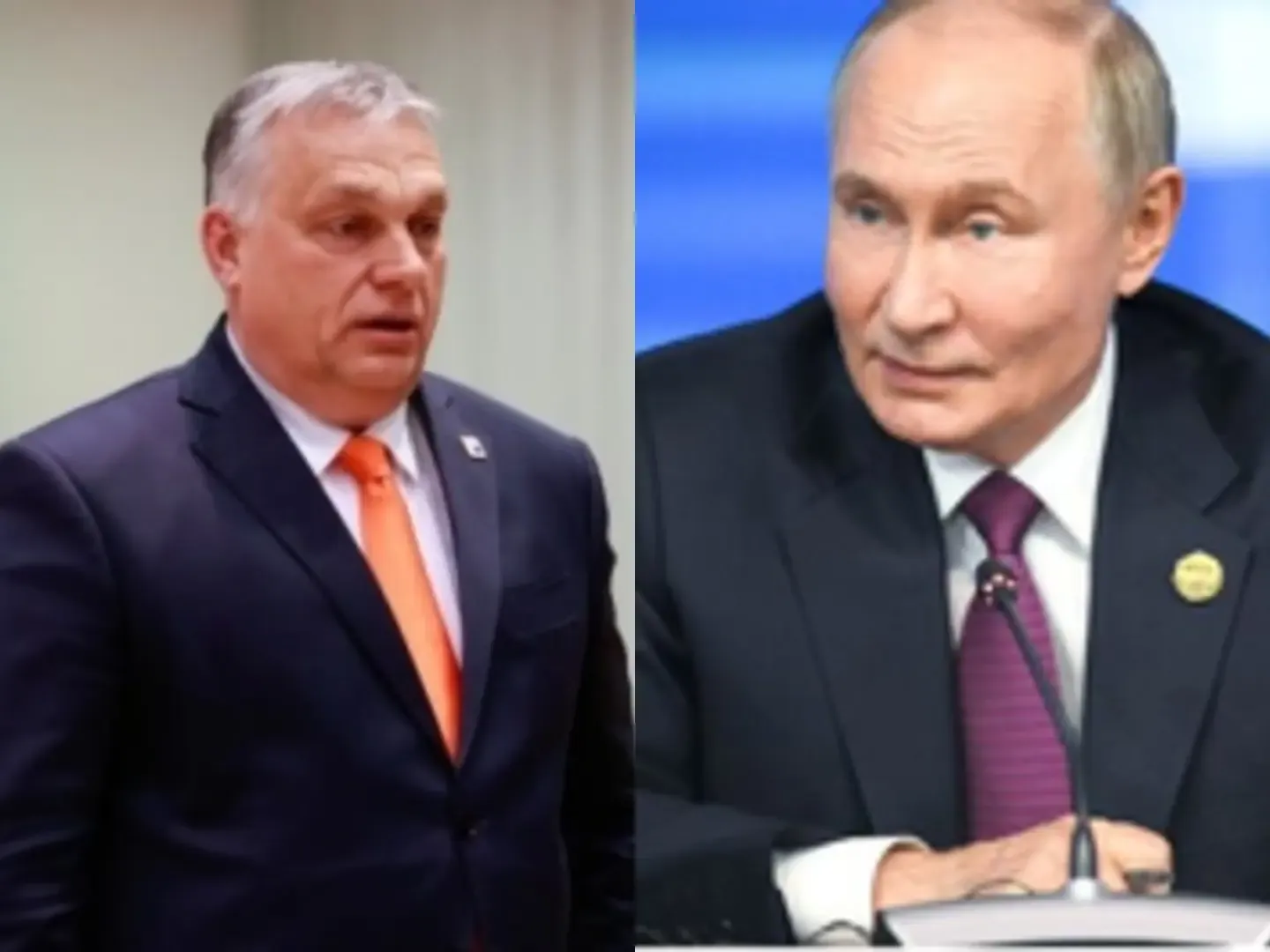 Hungarian Leader and Russian President Discuss Energy Collaboration and Ukraine Situation