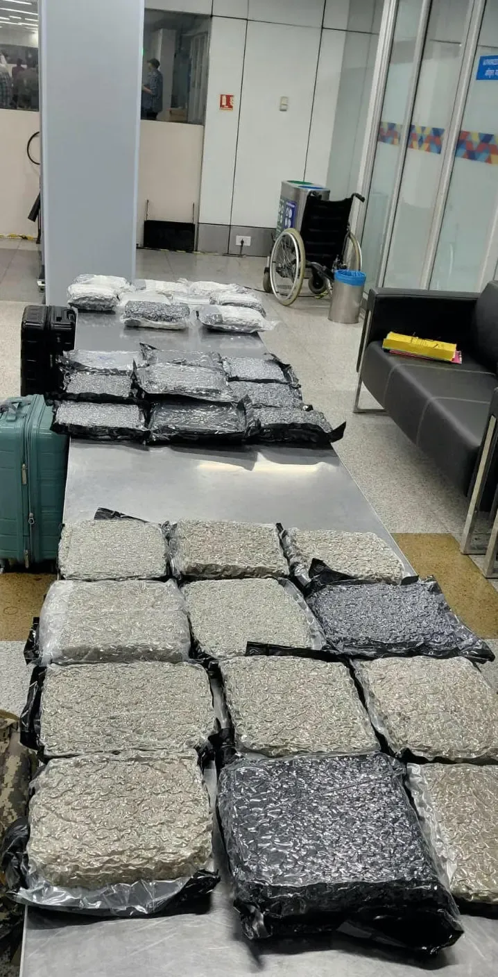 Delhi airport customs seize ₹34.9 crore hydroponic marijuana from Bangkok flight