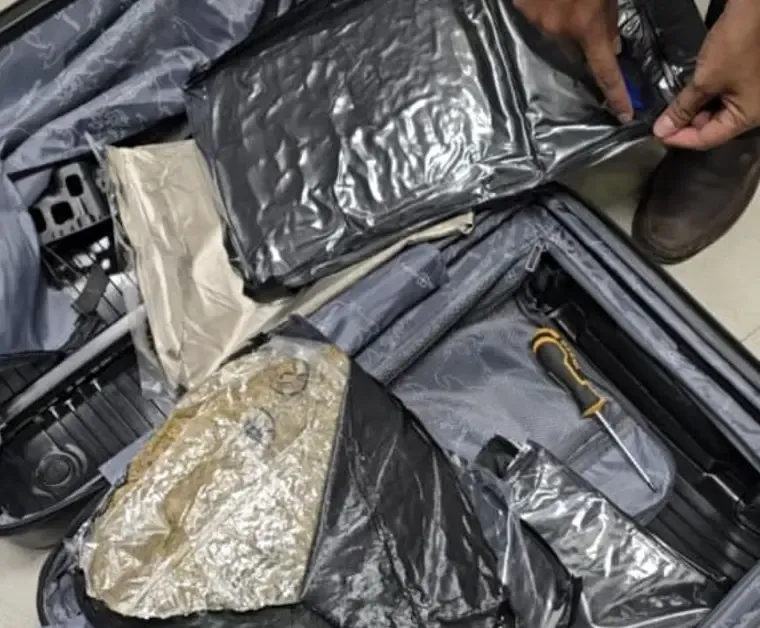 Hydroponic weed worth ₹44.27 lakh seized at Pune airport from Bangkok passenger