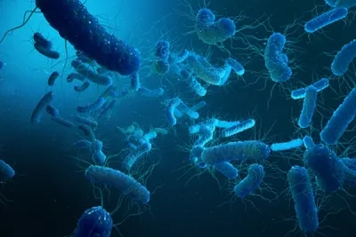 ICMR seeks private partners for joint development of typhoid, paratyphoid vaccine