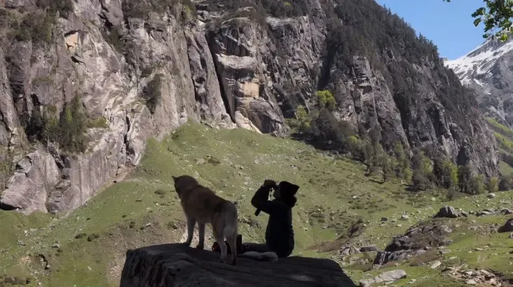 क्या आईएफएफआई में 'ओस्लो: ए टेल ऑफ प्रॉमिस' का टीजर देखकर लोग भावुक हुए?