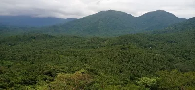 Is India’s Forest Health Declining?