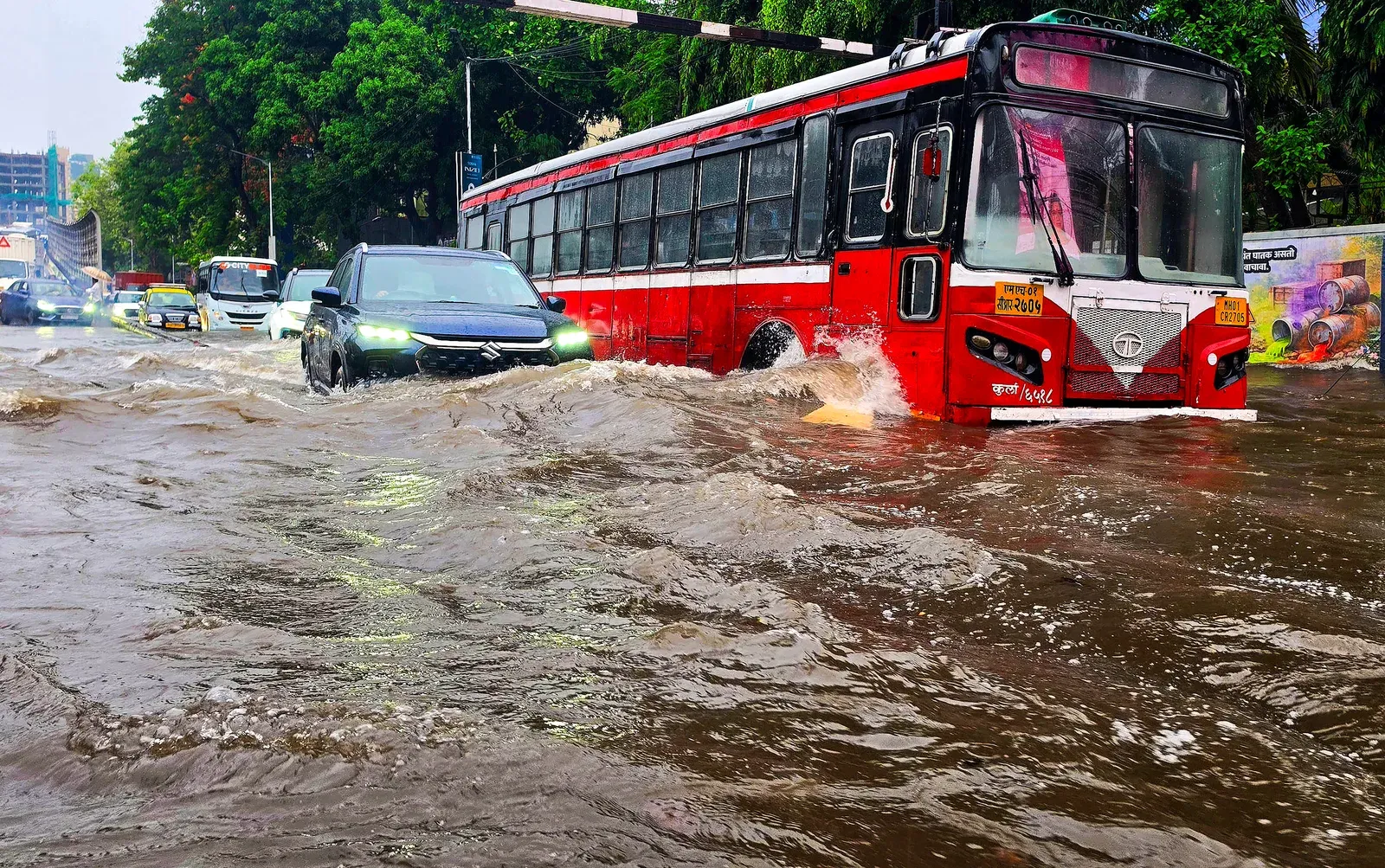 IMD issues rain alerts for 31 Maharashtra districts; Mumbai logs 113 tree falls