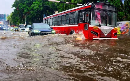 IMD issues rain alerts for 31 Maharashtra districts; Mumbai logs 113 tree falls