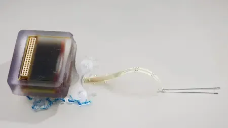 Can an Implantable Electronic Device Restore Movement After Spinal Cord Injury?
