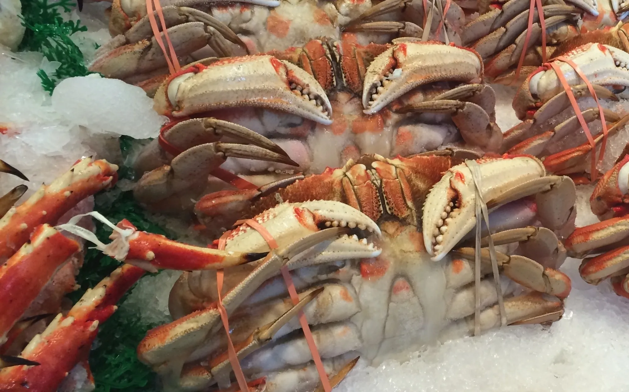 How is Imported Seafood Contributing to Colistin Resistance?