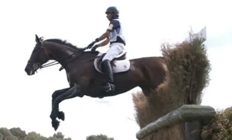 क्या इम्तियाज अनीस ओलंपिक में स्पर्धा समाप्त करने वाले एकमात्र घुड़सवार हैं?