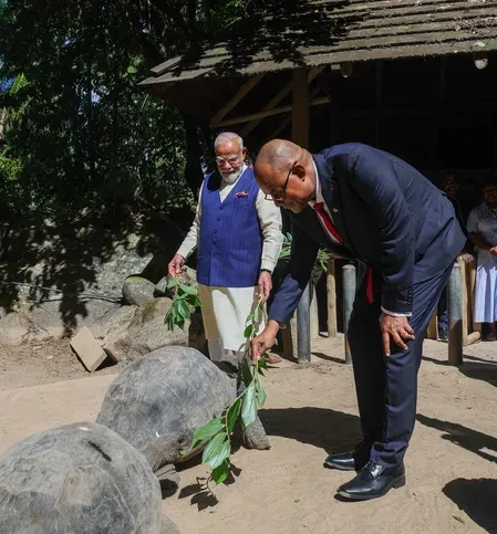 Modi in Seychelles: Aldabra Giant Tortoise's India link, Coco de Mer planting