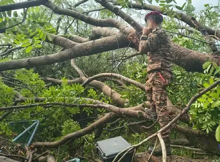 India continues post-cyclone relief efforts in Sri Lanka under Op Sagar Bandhu