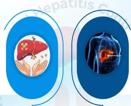 India's hepatitis 2030 push: free testing, drugs and integrated care under NVHCP
