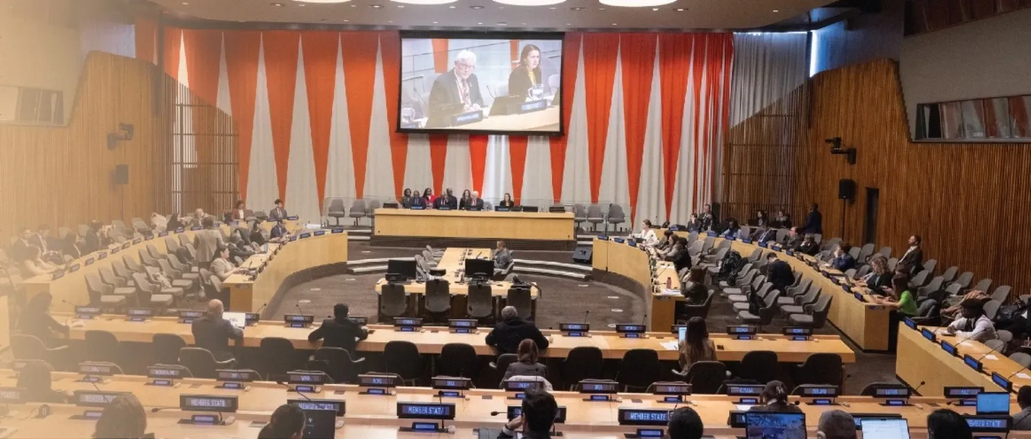 How is India poised to champion development at the UN Economic and Social Council?