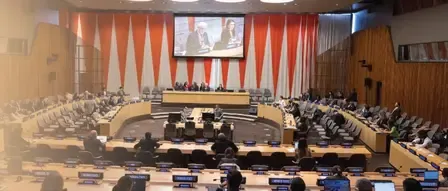 How is India poised to champion development at the UN Economic and Social Council?