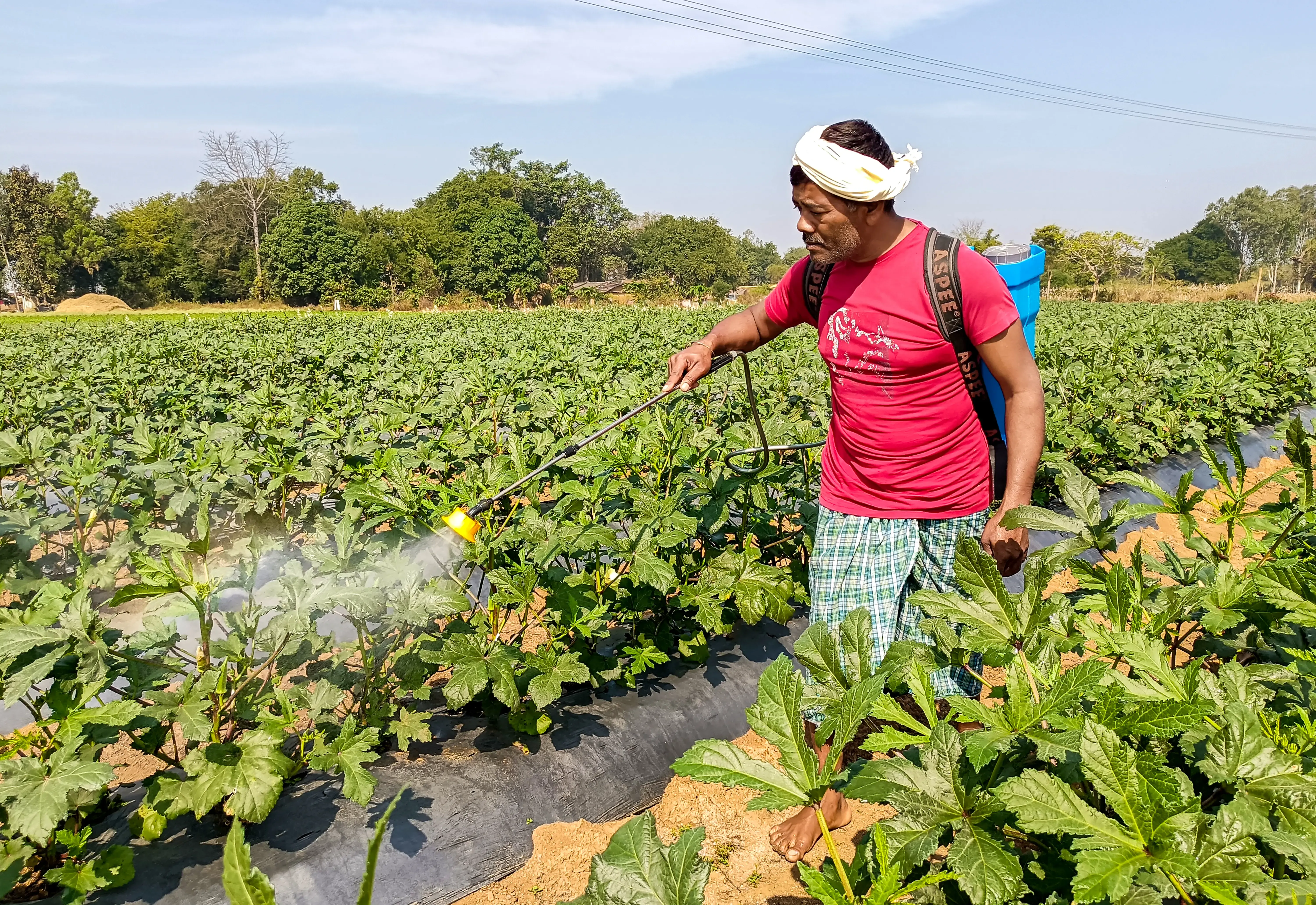 India's Fertiliser Reserves Are Strong Ahead of Kharif 2026 Despite Global Challenges