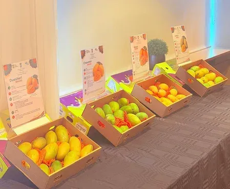 India holds first mango export events in Iceland, eyes $3.3 mn market