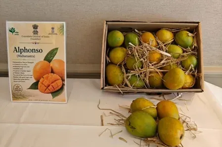India's Mango Festival in Frankfurt draws 80+ guests, showcases 1,000 varieties