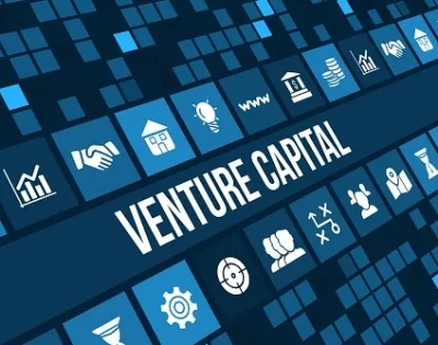 How Did India's PE-VC Market Grow by 9% to $43 Billion in 2024?