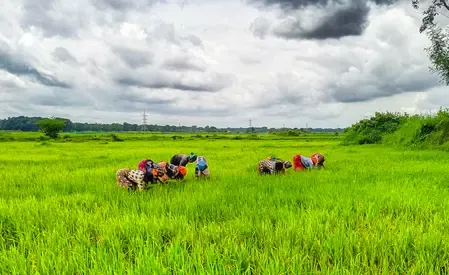 How Has India Supported Farmers with Policy Aid and Market Protections?