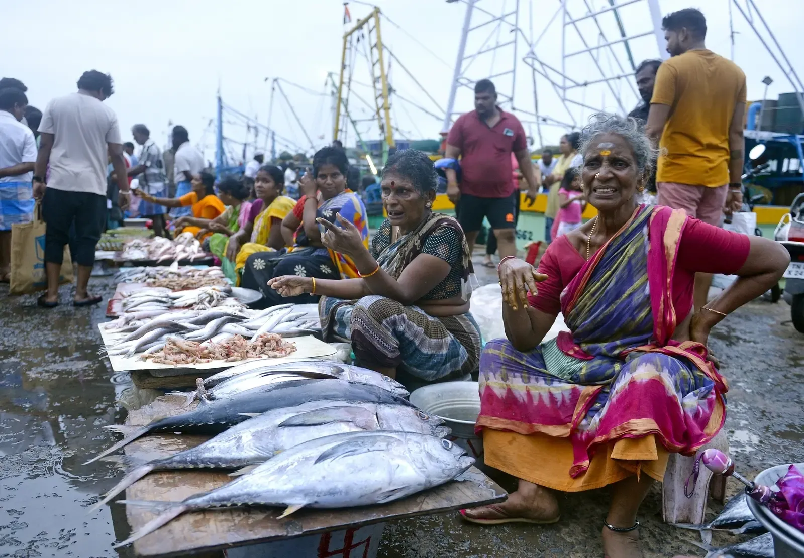 India eyes 30 million tonne fish output in 5 years, seafood exports target ₹1.25 lakh crore