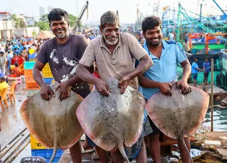 Will India Successfully Attract 83 Nations to Boost Seafood Exports?