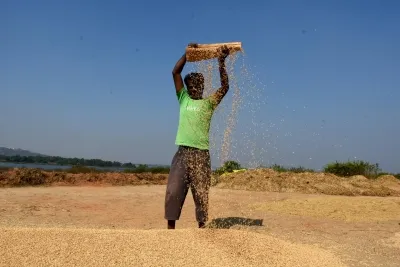 India to see record kharif output growth, foodgrain production to cross 173 million tonnes