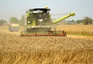 India Transforms into a Food-Surplus Powerhouse Fueled by Agriculture Growth: Study