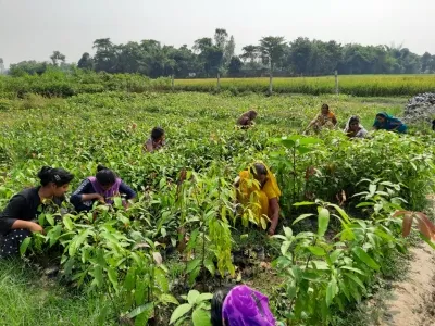 Could the India-UK Trade Deal Transform Agriculture?