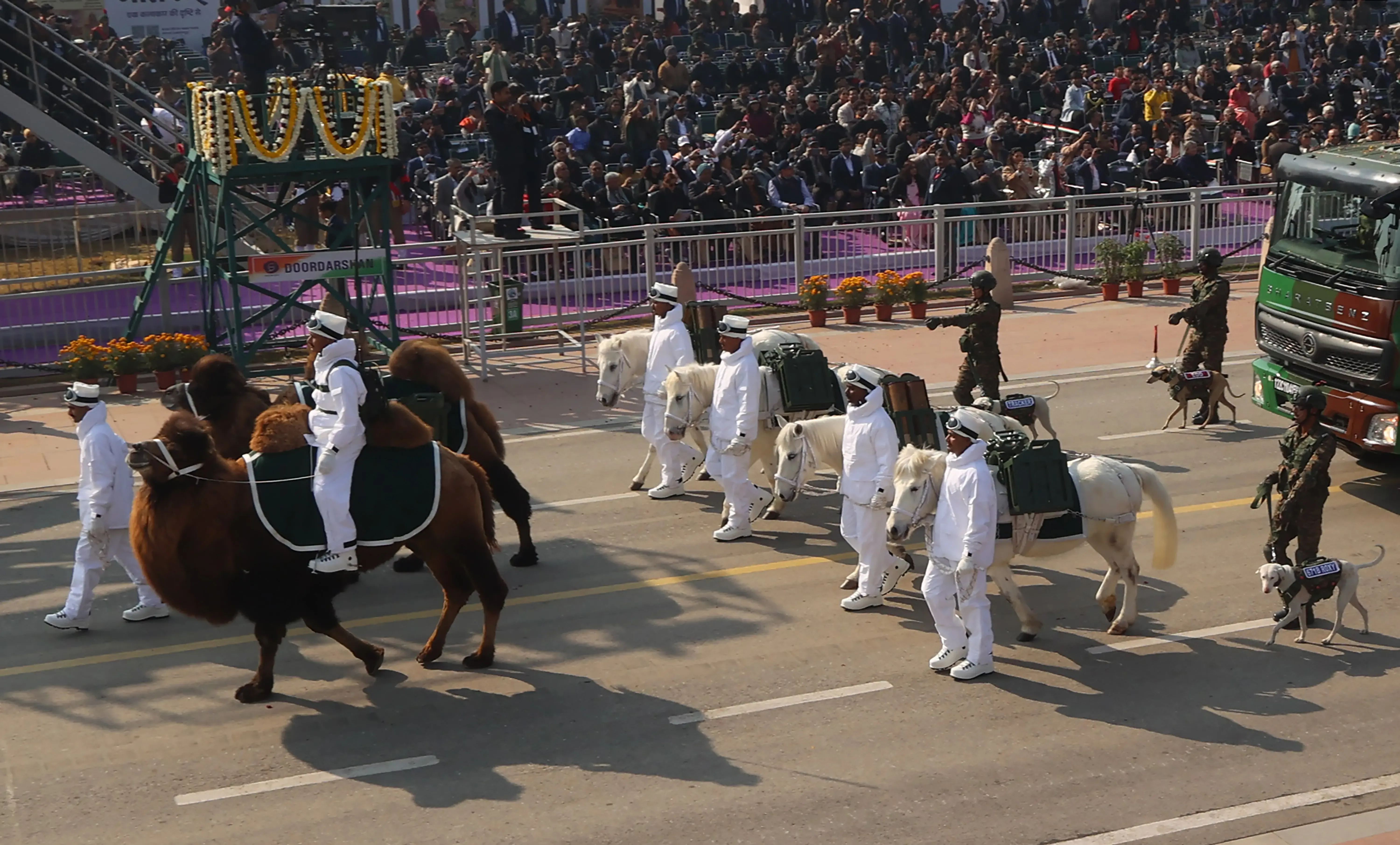 Did Indian Army Chief General Upendra Dwivedi Honour Bactrian Camels and Zanskari Ponies?