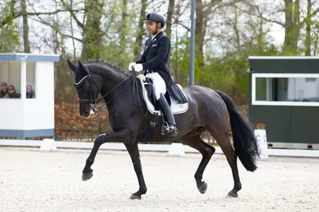 Anush Agarwalla Wins Silver at CDI Hagen with 70.94% Score