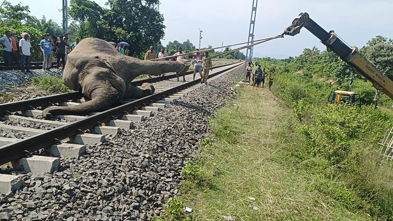 Has Indian Railways Unveiled an AI System to Prevent Elephant Collisions and Tenders 981 RKms?