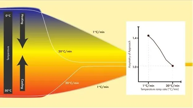 Thermal shocks unlock drug delivery, RRI scientists find