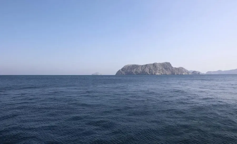 Indian seafarer killed as dhow catches fire, sinks near Strait of Hormuz