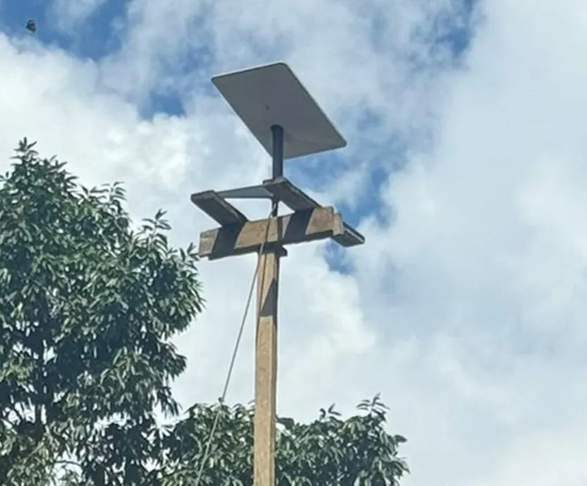 Has India's Space Regulator Approved Musk's Starlink Services for 5 Years?