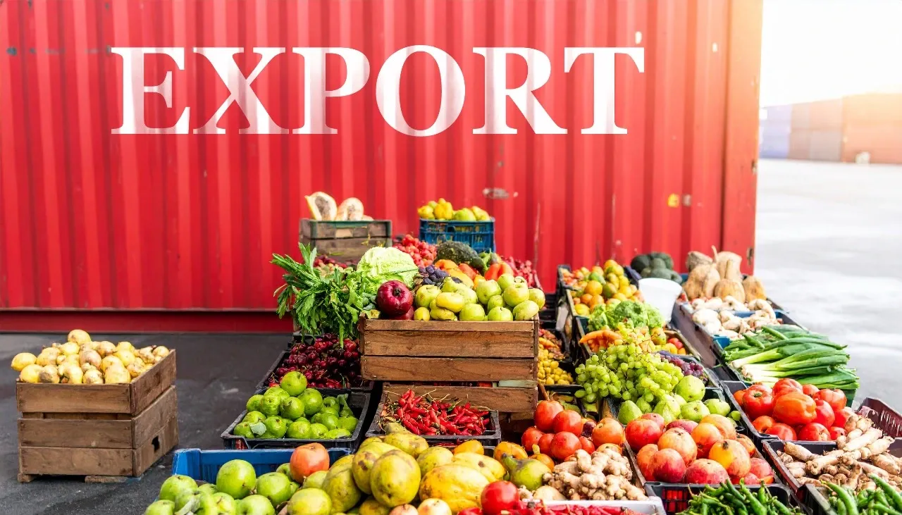 How Did India’s Agricultural Exports Perform in Q1 FY26?