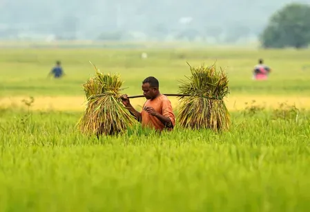 India's agriculture GVA doubles to ₹48.7 lakh crore in a decade